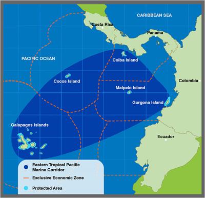 The Eastern Tropical Pacific Marine Corridor (CMAR): The Emergence of a Voluntary Regional Cooperation Mechanism for the Conservation and Sustainable Use of Marine Biodiversity Within a Fragmented Regional Ocean Governance Landscape